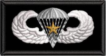 Paratrooper Gold Star 2 Badge Patch