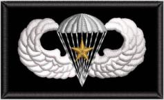 Paratrooper Gold Star Badge Patch