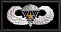Paratrooper Gold Star Badge Patch